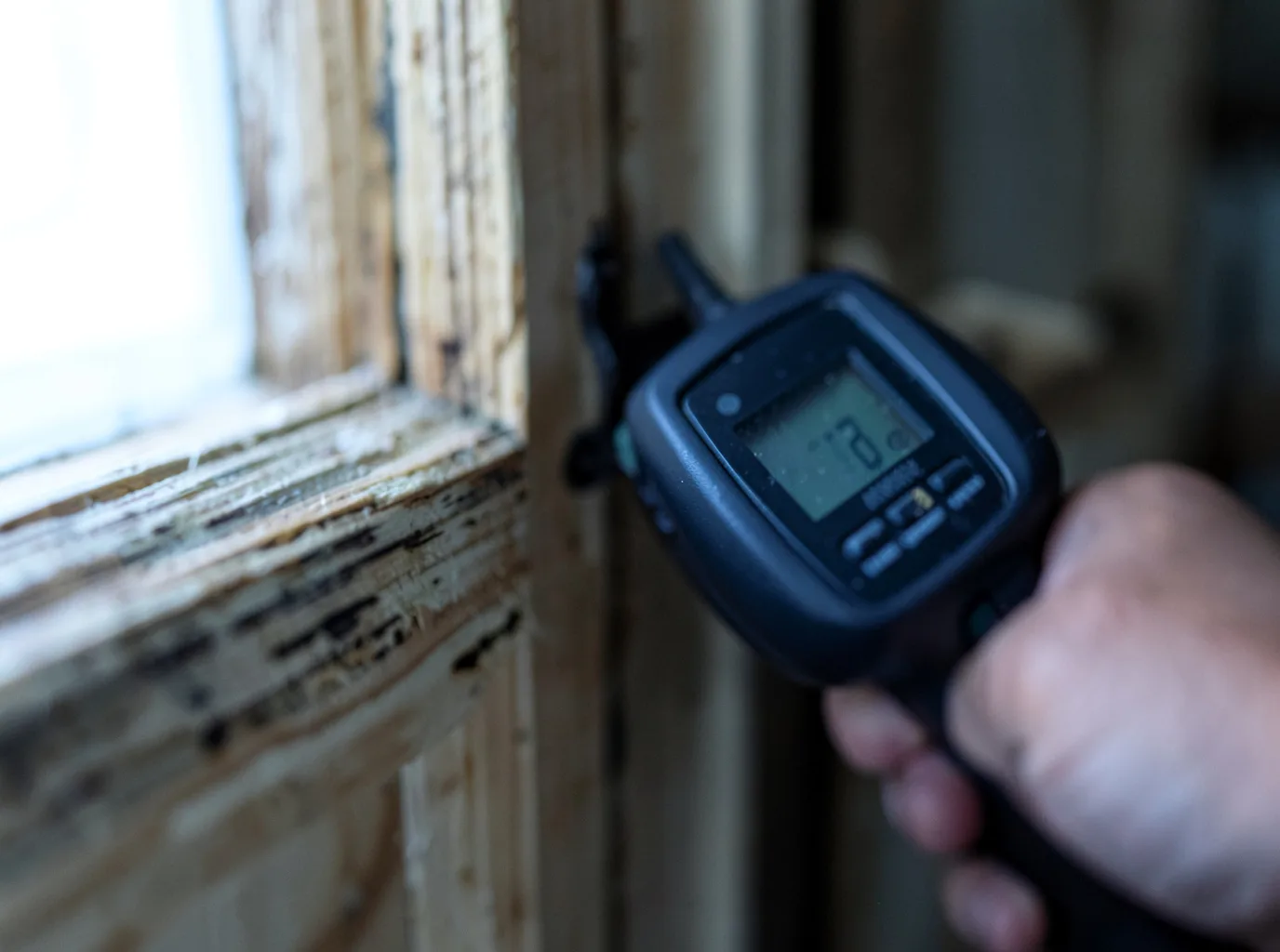 Moisture Inspection And Documentation in Riverside, UT